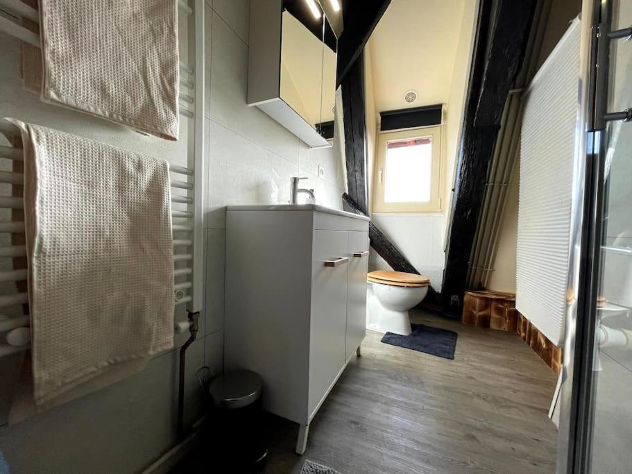 Selestat Centre - L'Unique - 4 Pers - Cosy 아파트 외부 사진